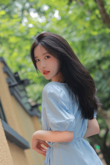 后宫狂热